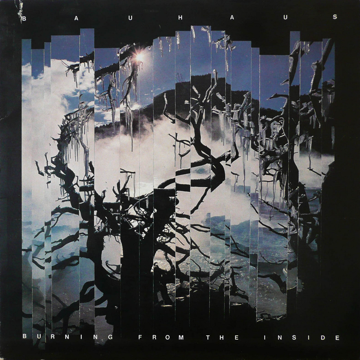 Bauhaus: Burning From the Inside (1983)